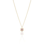 Load image into Gallery viewer, 14k gold 1cm full star of David Pink sapphire necklace