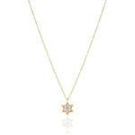 Load image into Gallery viewer, Silver 1 cm full star of david necklace