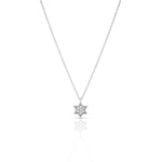 Load image into Gallery viewer, Silver 1 cm full star of david necklace