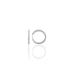 Load image into Gallery viewer, Hoop Earrings M