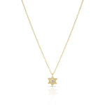 Load image into Gallery viewer, Single Star of david necklace