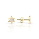 Load image into Gallery viewer, Silver Mystic full star studs