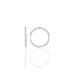 Load image into Gallery viewer, Hoop Earrings L