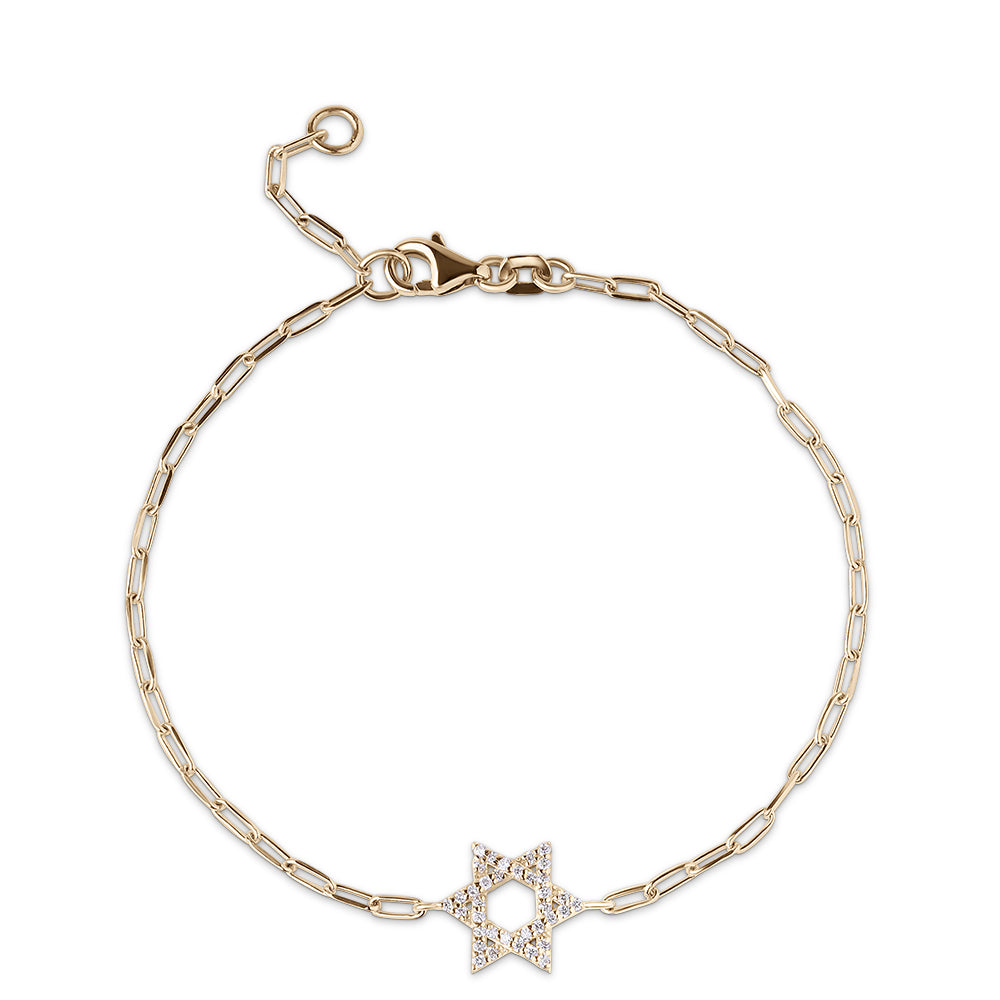Classic star of David paperclip
