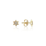 Load image into Gallery viewer, 14k gold Mystic Full Dimond Star Of David