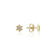 14k gold Mystic Full Dimond Star Of David