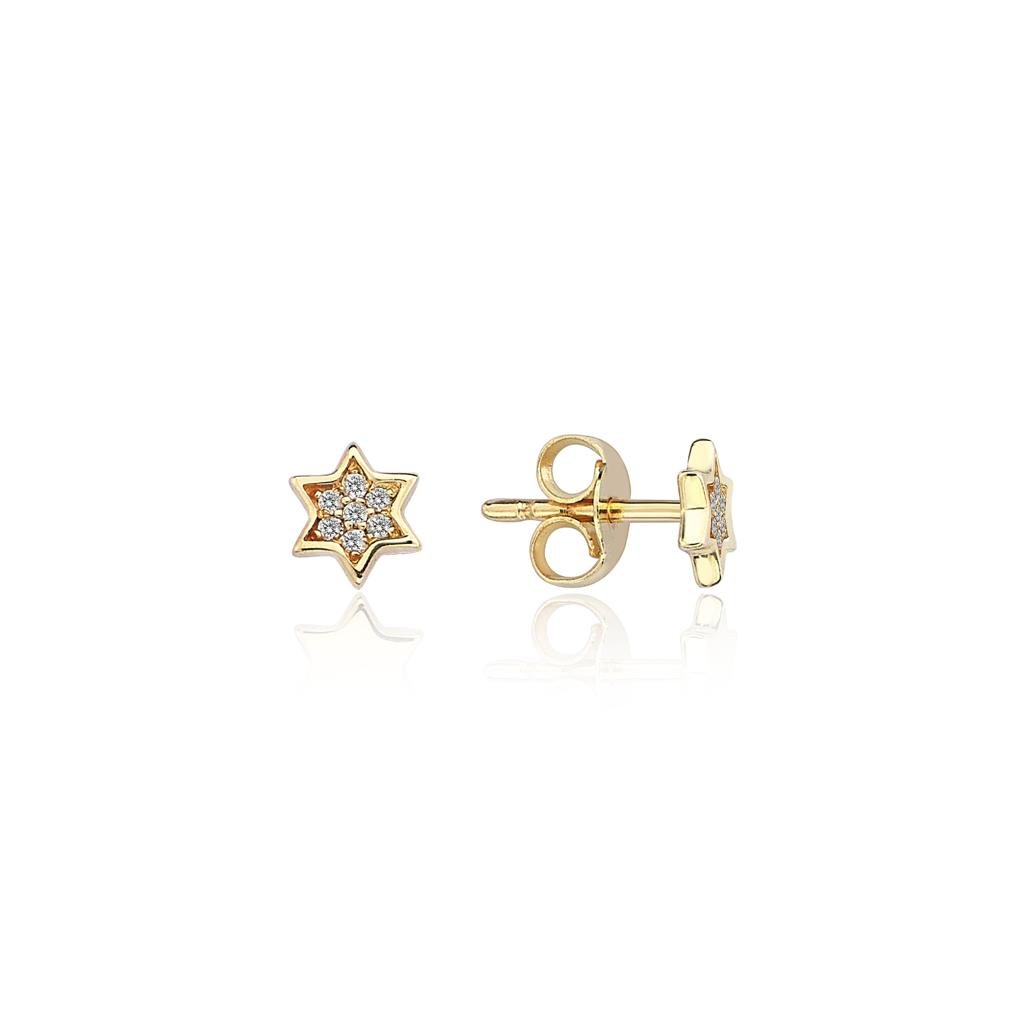 Silver Mystic full star studs