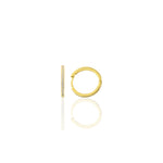 Load image into Gallery viewer, Hoop Earrings M
