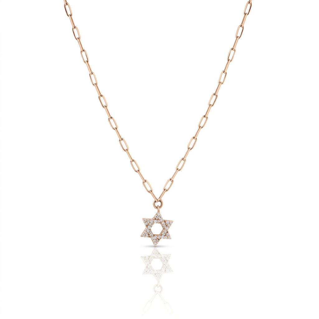 14k gold Classic star of David necklace paperclip