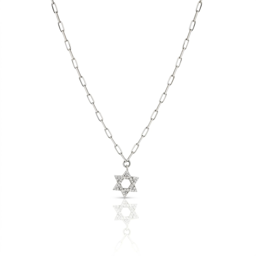 14k gold Classic star of David necklace paperclip